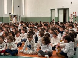 Actividades Semana de la Paz